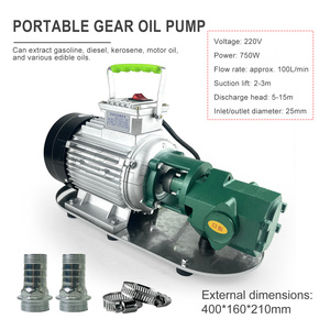 Pompe de transfert portable WCB, pompe à huile à engrenages économe en énergie, personnalisable pour l'industrie automobile, OEM, faible coût JIANG DAO - Product Image 2