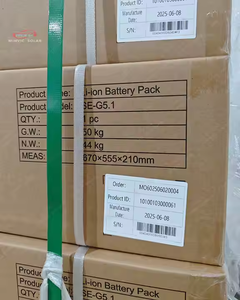 Baterai Penyimpanan Energi Surya Deye SE-G5.1 20kwh 10kwh 5kwh 51.2V 100Ah Lithium Ion LiFePO4 - Product Image 6