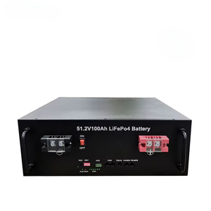 Batterie personnalisée 51,2 V 100 Ah pour montage en rack 5 kWh avec BMS intelligent 4U pour équipement solaire/UPS/télécom-testage - Product Image 3