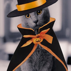 Halloween-Katzenkostüm-Set – Fledermaus-Maske, Flügel & Umhang Für Kleine Katzen & Hunde
