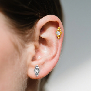 <b>Titanium</b> Earrings G23 Piercing Jewelry Ear Cartilage Studs With Crystal Inlay For Unisex Gift - Product Image 3
