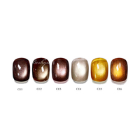 Vernis à ongles liquide UV LED sans TPO Beshyne, design œil de chat brun hiver, flacon de 10 ml, DIY