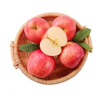 2026 Nieuwe Oogst Verse Rode Fuji Appels Premium Zoet & Knapperig Rode Heerlijke Fruit Bulk Groothandel voor Export & Detailhandel