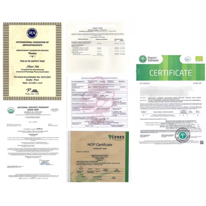 OEM obat Herbal kapsul kesehatan saraf tanaman alami kualitas tinggi - Product Image 6