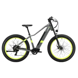 Bicicleta de Cross eléctrica 750W 26 pulgadas Fat Tire E-Bike Bicicleta de montaña eléctrica barata Eu Usa Bicicleta de ciudad eléctrica Tourwheel montaña vintage