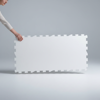 Planche à roulettes portable en plastique ZSPE avec roues lisses pour les jeux et l'apprentissage en plein air des enfants