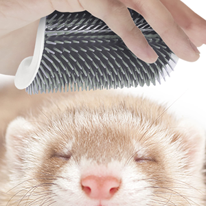 Cepillo Masajeador para Gatos con Hierba Gatera, Suave, para Esquinas de Pared, Cepilla para Masaje Facial con Peine Estimulante, Suministros de Aseo para Mascotas - Product Image 2