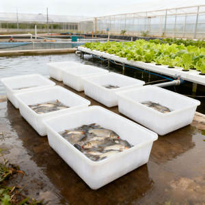 Aquacultuurboerderij Pe Visteelt Rechthoekige Tank Vijvers Container Box Tubs Rotatiegieten Plastic Modling Type - Product Image 5