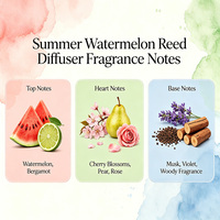Diffuseur personnalisable en gros, ensemble cadeau diffuseur à bâtonnets parfum pastèque d'été, écologique
