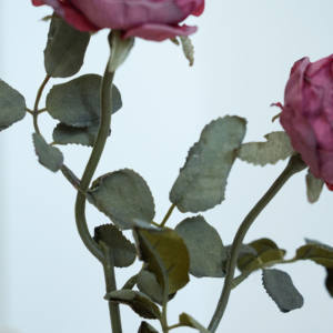 Nieuwe Aankomst Kunstmatige Rozen Real Touch Roos Boeket 12 Hoofden Voor Thuis Bruiloft Woonkamer Vaas Decor Bruidsboeket - Product Image 5