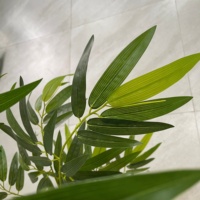 Tiges de bambou artificielles pour décoration extérieure, plantes en plastique aspect naturel, haute simulation, pour aménagement paysager, durée de vie 3-5 ans