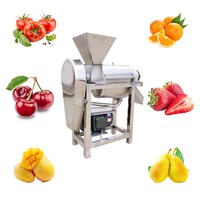 Mango Sap Extractie Machine Fruit Mango Sap Plant Oranje Ananas Mango Sap Productielijn