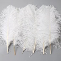 Großhandel große Straußen federn (45-50cm) in gefärbten Farben Big Feather Tisch blume für Hochzeits dekorationen Hersteller Lager