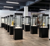 Lemari Pameran Museum Kustom dengan Kaca Tempered, Lampu LED, dan Desain Anti Maling untuk Penggunaan Ritel & Promosi