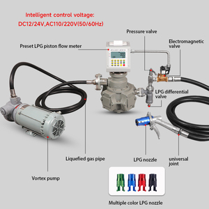 Портативный промышленный/коммерческий комплект насоса <span class=keywords><strong>LPG</strong></span> предохранительный клапан DC12V DC24V AC220V напряжения для заправки бензинового оборудования - Product Image 4