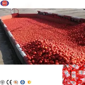 Small Capacity Tomato Ketchup Production Line Tomato Paste Making Machine