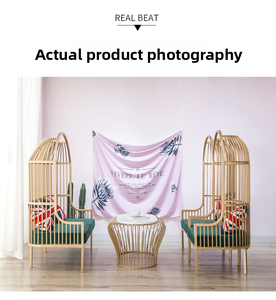 Canapé de chambre <span class=keywords><strong>cage</strong></span> <span class=keywords><strong>à</strong></span> <span class=keywords><strong>oiseaux</strong></span> en fer forgé de loisirs café d'hôtel simple et moderne, canapé de stand de repos et de réception - Product Image 5