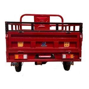 ผู้ผลิตมอเตอร์ไซค์สามล้อแบบกำหนดเอง 1200W ในอินเดีย - Product Image 2