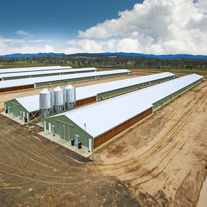 מבנה פלדה מודרני בניין בית עוף בעיצוב מסורתי בית עוף לחווה בטיחות יציבות בחוות עופות - Product Image 1