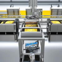 Automatische Chinese Bevroren Frietjes Lijn Gebakken Kippenvlees Snack Aardappelchips Maken Machine Fruitgroentemachines