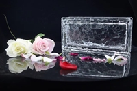Bloc de verre de bloc de cristal creux clair et de couleur de marque Jinghua de haute qualité
