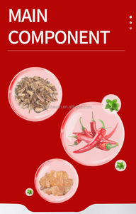 10 penjualan terlaris pasokan kesehatan Patch ekstrak Herbal nyaman untuk nyeri punggung menampilkan lada ahli hidup Garut - Product Image 4