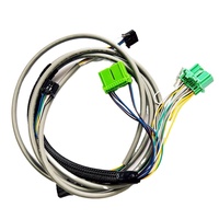 Rangkaian Kabel Kustom, Kabel Harness Mobil, Kabel Harness Baterai, Pasokan Pabrik