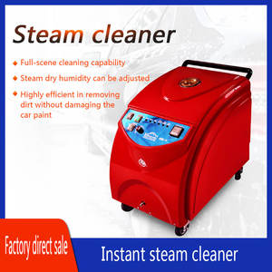 Lavadora de Autos a Vapor Eléctrica de Alta Presión, Temperatura Instantánea, Nuevo Diseño de Carcasa de Plástico, Motor de Vapor Instantáneo - Product Image 2