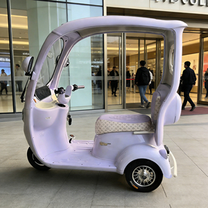 Triciclo Eléctrico de 3 Ruedas HengQiao (Homologado por DOT y EEC) Diseño Abierto de 2 Plazas, Autonomía de 50-70 km, Velocidad de 30-50 km/h, Capacidad de Subida de 25 Grados para Zonas Lacustres - Product Image 3