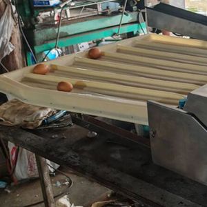 Machine de tri des œufs en acier inoxydable de qualité supérieure, 2000 œufs par heure, convoyeur numérique, tri intelligent pour les opérations avicoles - Product Image 3