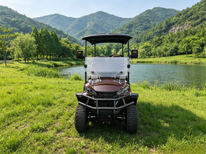 Carrito de Golf para 2 Personas, Operación Sencilla, Asientos Espaciosos, Carro de Golf Resistente para Clubes de Golf y Villas, para Carreteras No Públicas - Product Image 3