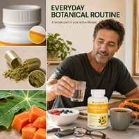 Capsules d'extrait de feuille de papaye 600mg 10:1, complément alimentaire à base de plantes pour un mode de vie actif
