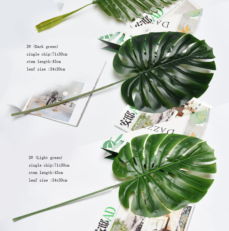 Vert foncé 3 #