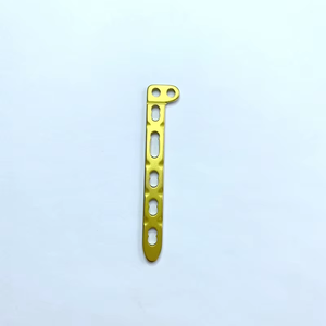 Geasure implan intervensi bedah Titanium dical Radius pengunci pelat tulang pelat implan - Product Image 3