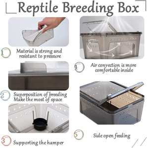 Caja de alimentación de serpiente pequeña reptil de plástico transparente Lagarto Tarántula Hábitat Jaula Contenedor de eclosión - Product Image 2