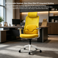 Chaise de bureau avec support lombaire, chaise de bureau ergonomique avec coussin, chaise de bureau ergonomique réglable, chaise de bureau entièrement en maille