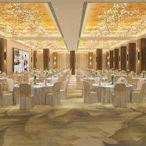 Tapis tressé Axminster pleine épaisseur - Commercial, antidérapant, durable, écologique, en laine et nylon, résistant à l'eau et adapté aux animaux domestiques - Product Image 3