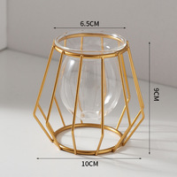 Vase hydroponique de luxe léger doré, écologique, créatif, pour la maison et le bureau, conteneur pour plantes aquatiques, décoration moderne en verre pour table