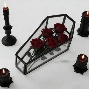 Boîte de rangement en verre multifonctionnelle en forme de cercueil avec cadre en métal noir pour plateau à parfums et organisateur de bibelots anti-poussière - Product Image 5
