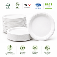 Assiettes jetables écologiques en bagasse de canne à sucre blanche, vaisselle robuste sans BPA, compatible micro-ondes, pour fêtes et banquets