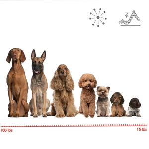 <span class=keywords><strong>Dog</strong></span> Training Tools Remote Ultraschall Wasserdicht <span class=keywords><strong>Anti</strong></span>-<span class=keywords><strong>Bark</strong></span> <span class=keywords><strong>Dog</strong></span> Trainer Hunde training Halsband Bellen Kontroll geräte - Product Image 5