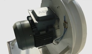 Máquina Industrial para Eliminar Insectos <span class=keywords><strong>de</strong></span> la <span class=keywords><strong>Harina</strong></span> con Disco <span class=keywords><strong>de</strong></span> Rotor <span class=keywords><strong>de</strong></span> Alta Velocidad - Product Image 6