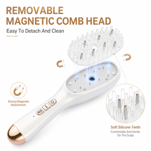 Peine Masajeador Eléctrico para el Cuero Cabelludo con Spray, Luz Roja y Azul, y Microcorriente EMS para la Rutina de Cuidado del Cuero Cabelludo en Casa - Product Image 2