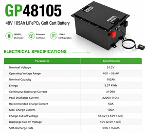 Batería LiFePO4 48V 105Ah Antichoque y Antipolvo Fabricada a Medida, para Autobuses de Aeropuerto y Vehículos Turísticos - Product Image 6