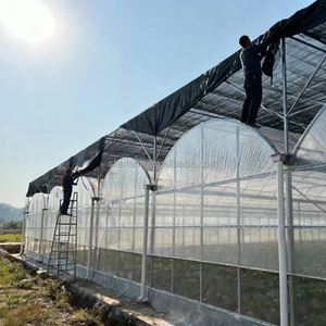 Solución Comercial Personalizada Llave en Mano: <span class=keywords><strong>Invernadero</strong></span> Multicapa con Doble Cubierta y Diseño 2D/3D para Cultivo de Tomate y Lechuga - Product Image 3
