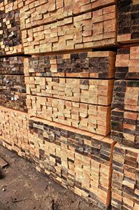 Madera de pino amarillo para construcción, madera de pino del sur seca al horno, madera de pino en bruto para construcción. - Product Image 3