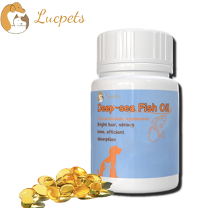 زيت السمك أوميغا 3 مكمل غذائي للكلاب والقطط - لصحة الجلد والفراء العضوي ودعم المناعة - Product Image 1