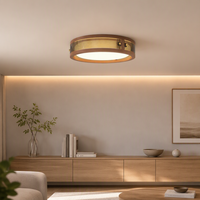 Plafonnier LED créatif en verre et bois 24W, design minimaliste en fer, protection oculaire, pour chambre et salon