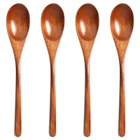 Japanese Natural Plant Ellipse Wooden Ladle Spoon for Cooking