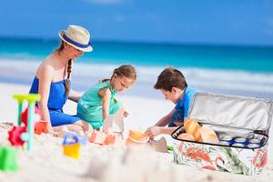 <span class=keywords><strong>Bolsa</strong></span> de Playa Aislante Impermeable de Poliéster para Picnic, con Cremallera y Malla, Estilo Moderno, Venta al por Mayor - Product Image 6